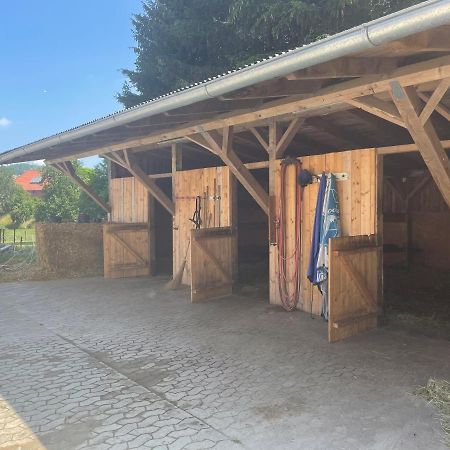 Apartmán Luises Ferienglueck Vernawahlshausen Exteriér fotografie
