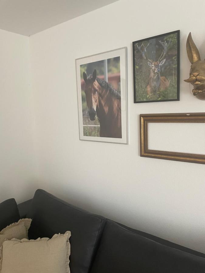 Apartmán Luises Ferienglueck Vernawahlshausen Exteriér fotografie